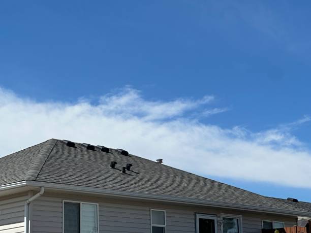 Reliable Centennial, CO Roofing service Solutions